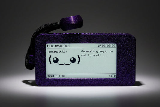 Pwnagotchi - Hacker Tool